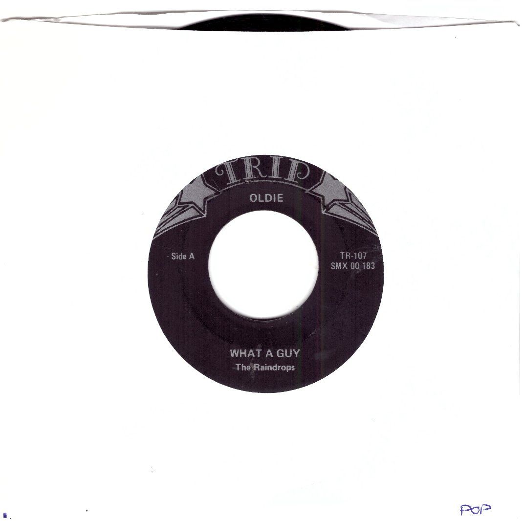 Vinyles: THE RAINDROPS – D'occasion à Bassersdorf par house-of-vinyl