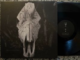 Worsen – Cursed To Witness Life (Black Metal) [LP NL 2020]