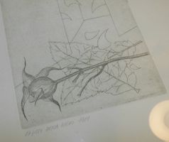 Sammlung Schweizer Künstler Radierung - Wespi Dora