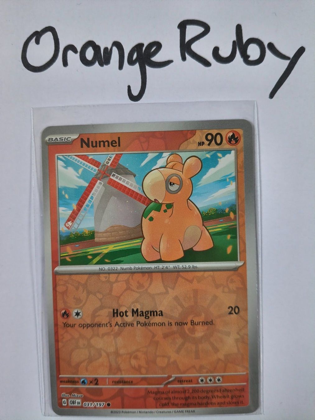 Pokémon Carte collezionabili: Numel 031/197 REVERSE HOLO Obsidian Flames OBF English – Usato da St. Gallen venduto da OrangeRuby