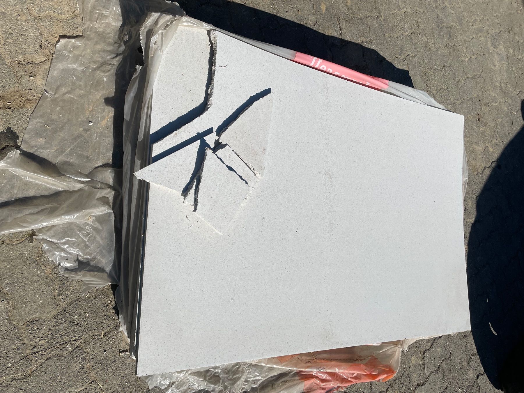 Piatti di portata: Fermacell Platten Gipsfaserplatte – Usato da Huttwil venduto da alc_s2gc 2