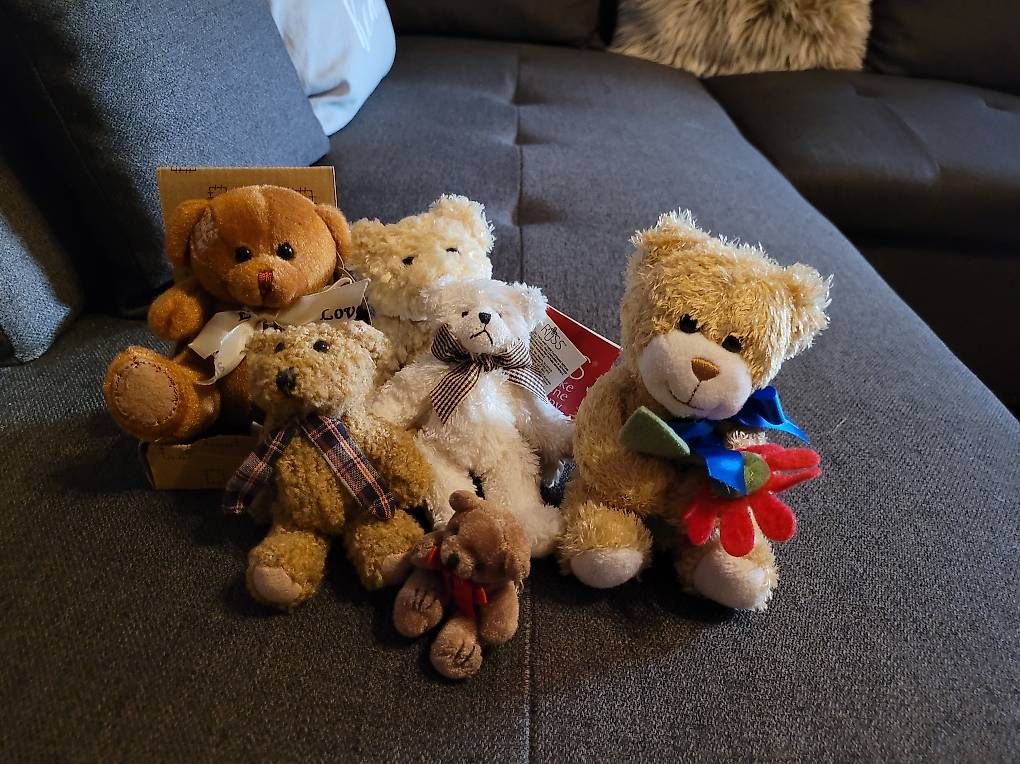 Giocattoli: 6 charmante Teddybären – Usato da Steckborn venduto da bee_76v9 2
