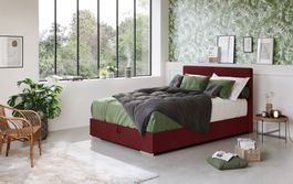Box Bett Tomy 90x200 cm mit Stauraum