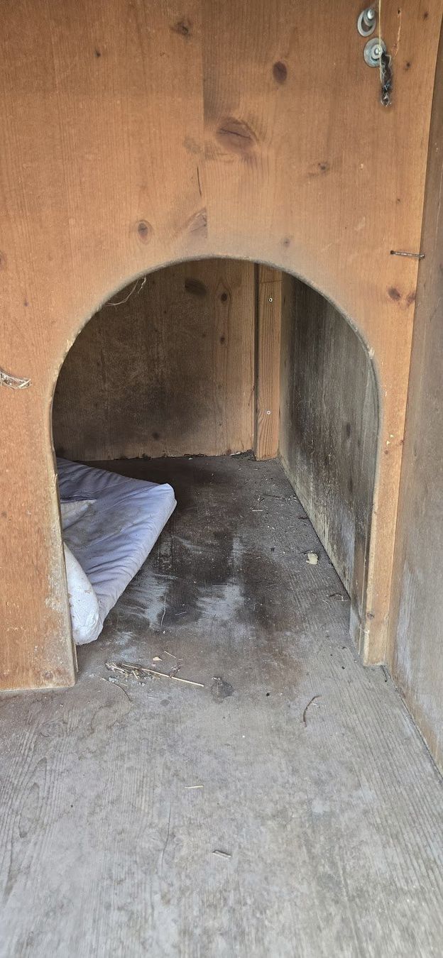 Cucce & Letti: Hundehütte mit Ziegeldach – Usato da Wil AG venduto da Elfina02 3