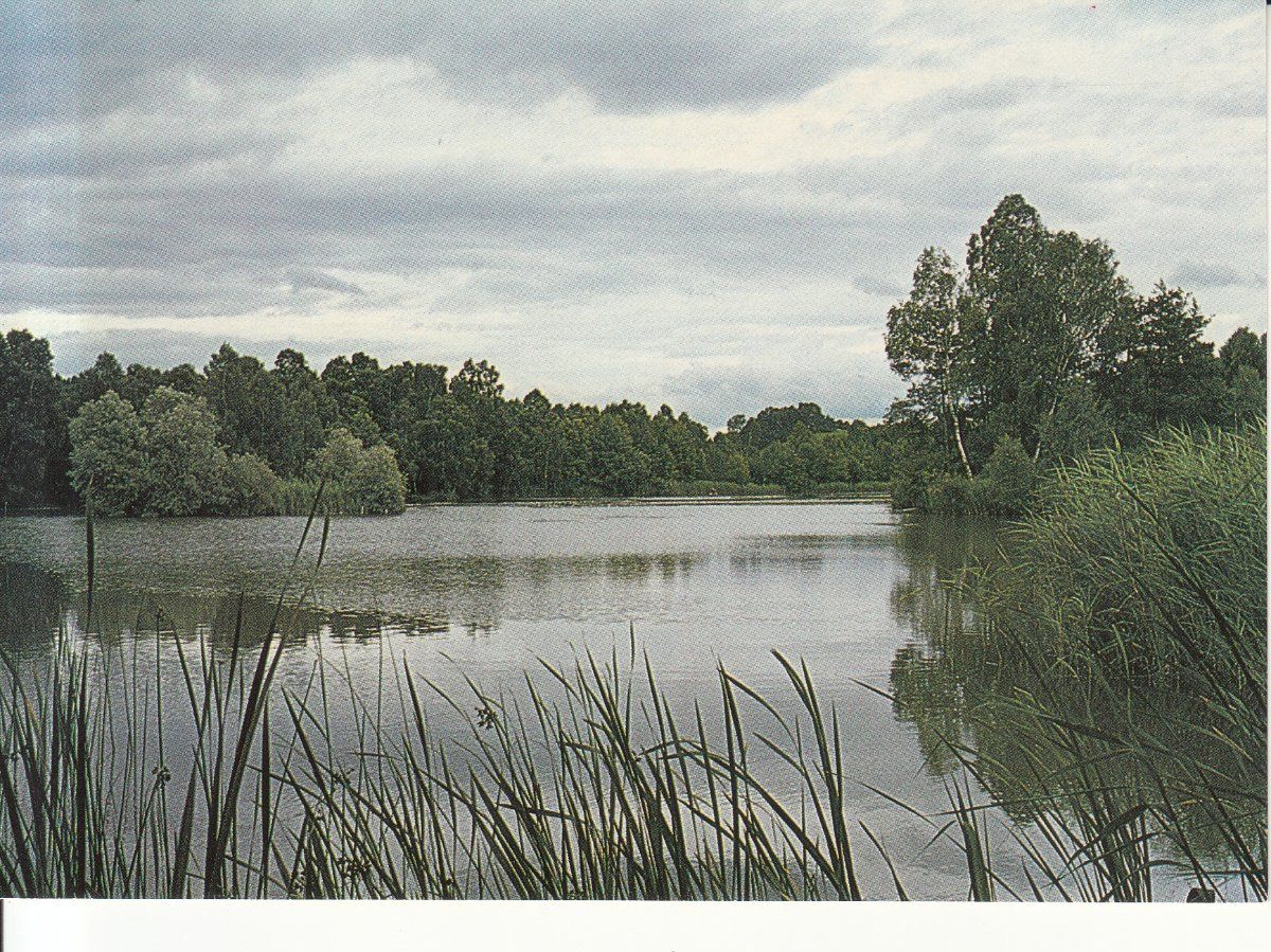 Cartoline postali: Ossingen Husemer See ca. 1990 – Usato da Bürglen TG venduto da StampGraf