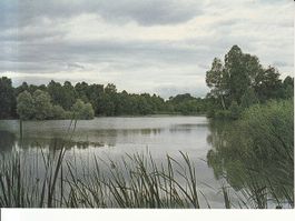 Ossingen Husemer See ca. 1990
