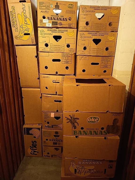 Cartons: 10 Bananenschachteln – D'occasion à Aesch BL par Saskia019