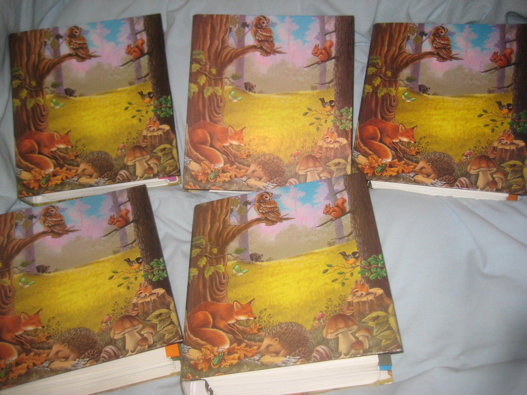 Livres: KINDER  NATUR  ORTNER – Neuf (Voir description) à Uster par flocke1