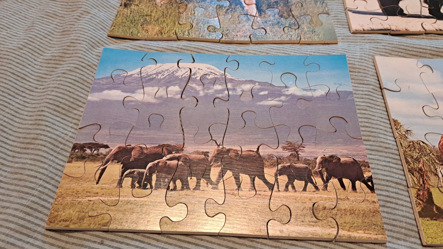Penelope Puzzle: Penelope Multi Puzzle aus Holz – Usato da Adliswil venduto da edi_5m7l 3