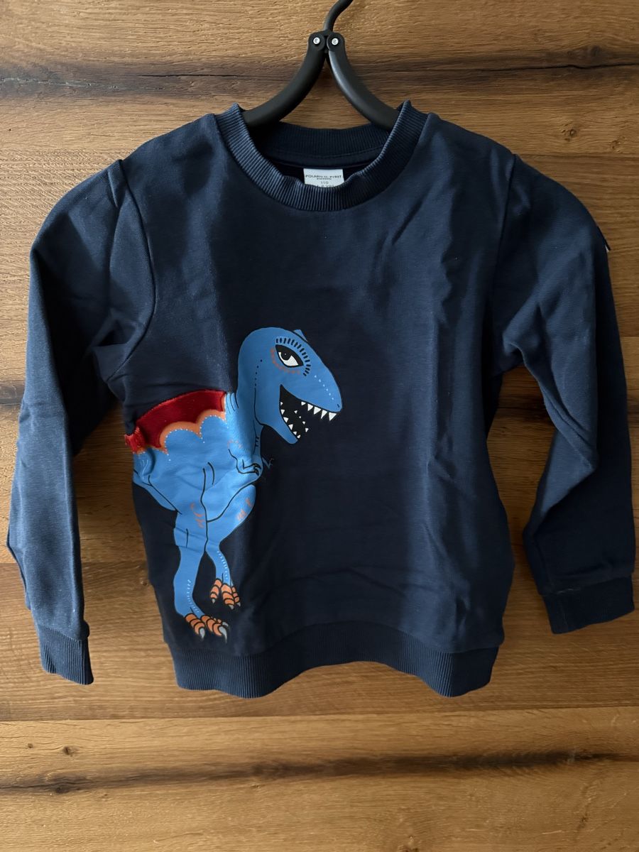Lotti & Set di vestiti: Polarn O. Pyret Dino Pulli 110, Luchs Pulli & Hemd 116 – Set – Nuovo (secondo la descrizione) da Spreitenbach venduto da Princess1989 1