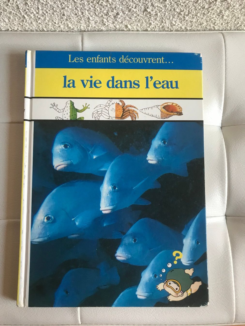 Libri: Livre – Usato da Gorgier venduto da chahn