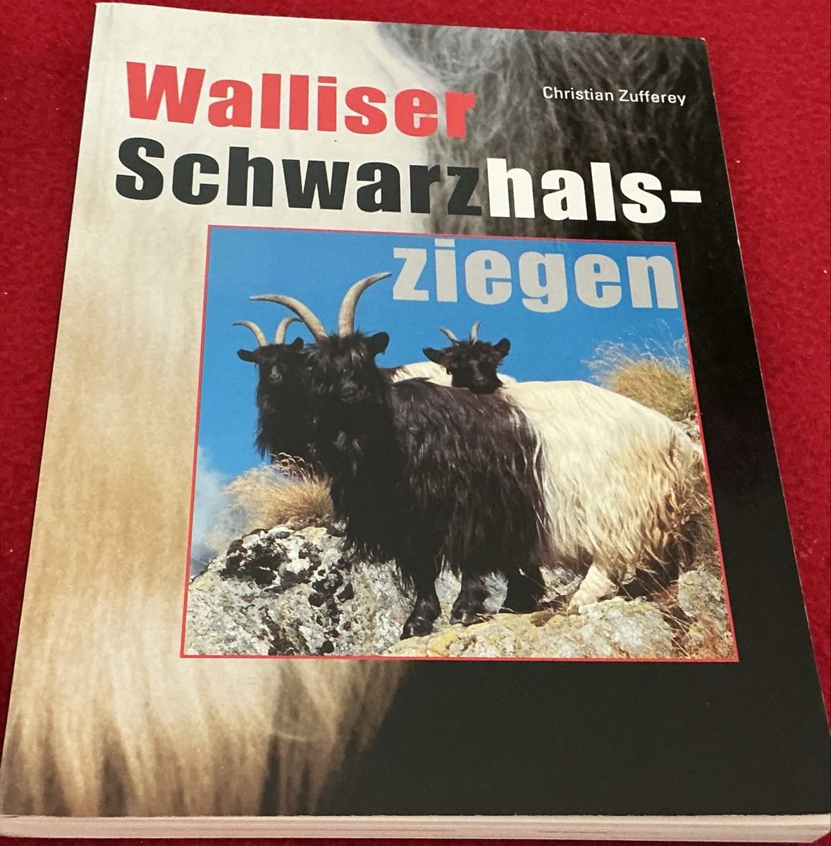 Libri: Walliser Schwarzhalsziegen - Christian Zufferey – Usato da Crans-Montana venduto da plainemorte