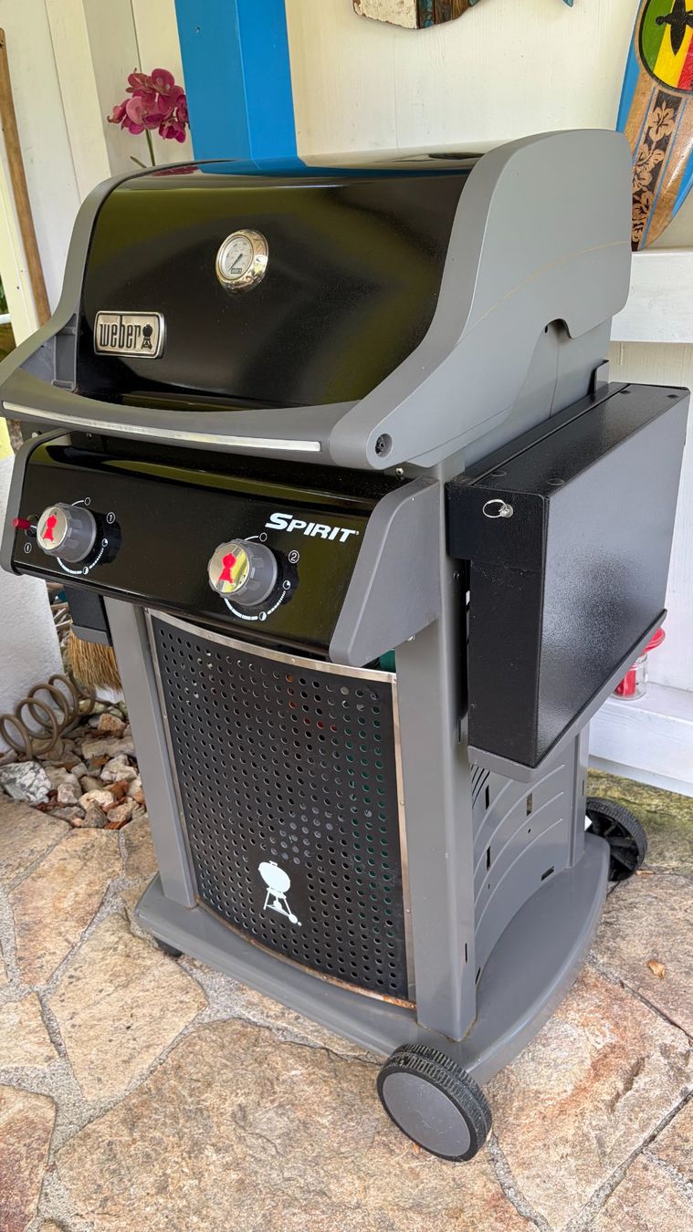 Weber Griglie: Weber Gasgrill SPIRIT – Usato da Maseltrangen venduto da Gugi73 2