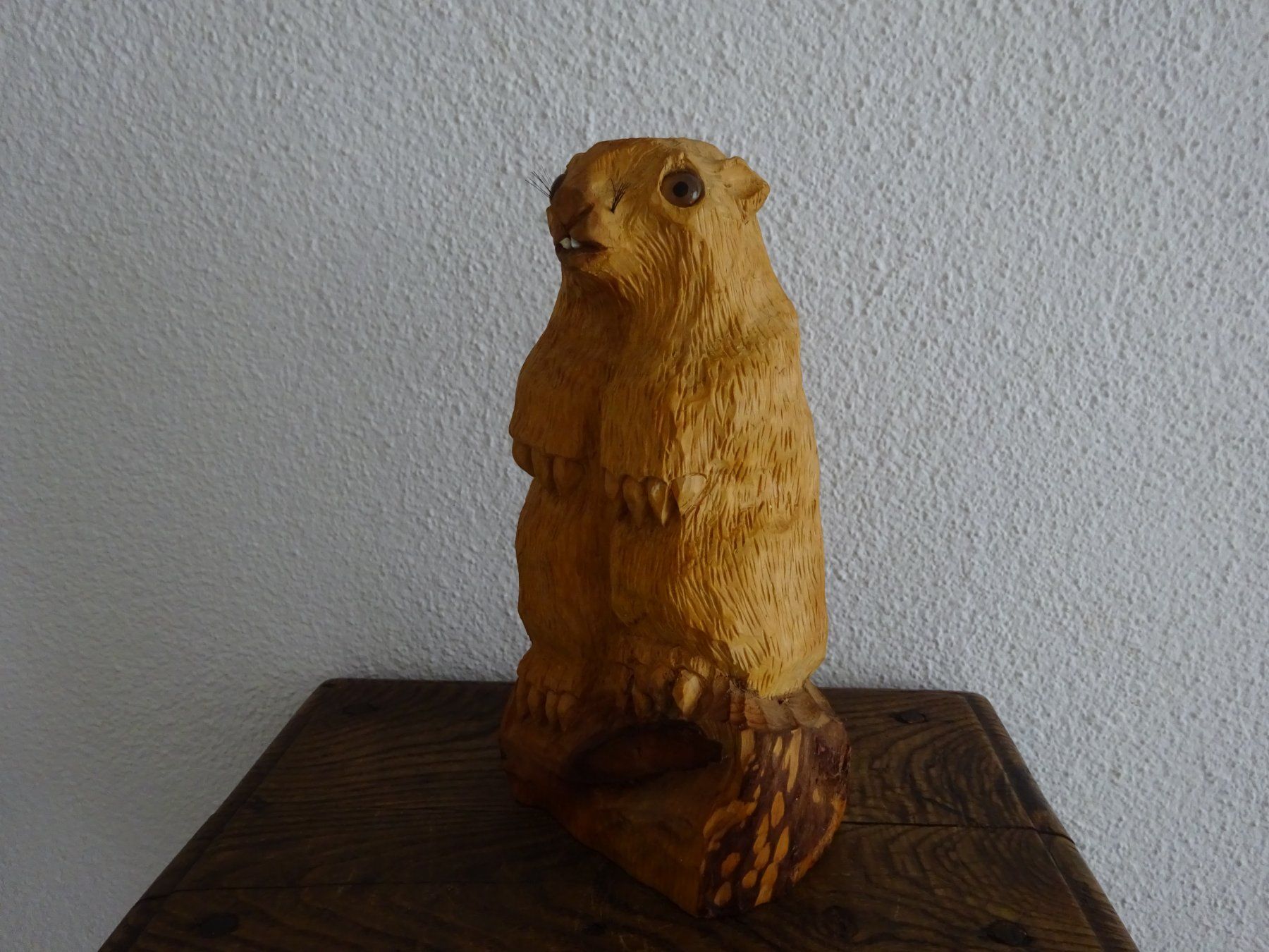 Sculture & Statue: Murmeltier Phil / Pennsylvania – Usato da Esslingen venduto da eintagammeer