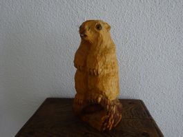 Murmeltier Phil / Pennsylvania