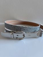Navyboot Gürtel in Schlangenoptik, Silber-Schnalle