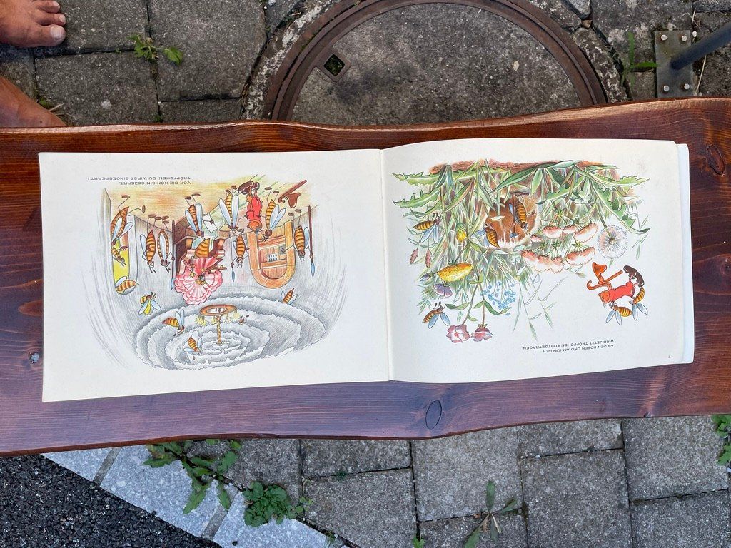 Libri: Kinderbuch – Usato da Forch venduto da ESELSTEIN 2