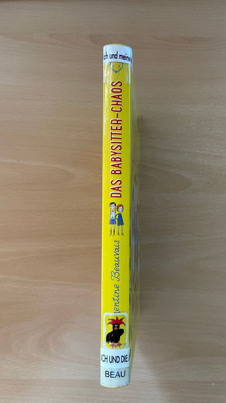 Libri: DAS BABYSITTER-CHAOS – Usato da Glattfelden venduto da cybermaxx 1