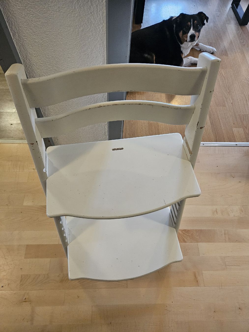 Stokke Seggioloni: Tripp Trapp – Usato da Schmitten (Albula) venduto da Punktus