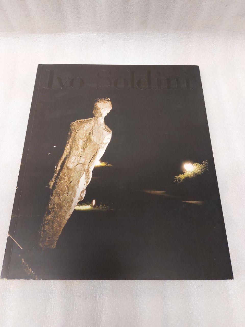 Libri: Libro fotografico Ivo Soldini – Usato da Pambio Noranco venduto da Pol69