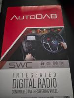 K..108 R S) Auto DAB SWC Set ohne Antenne Fiat500,Punto,Qubo