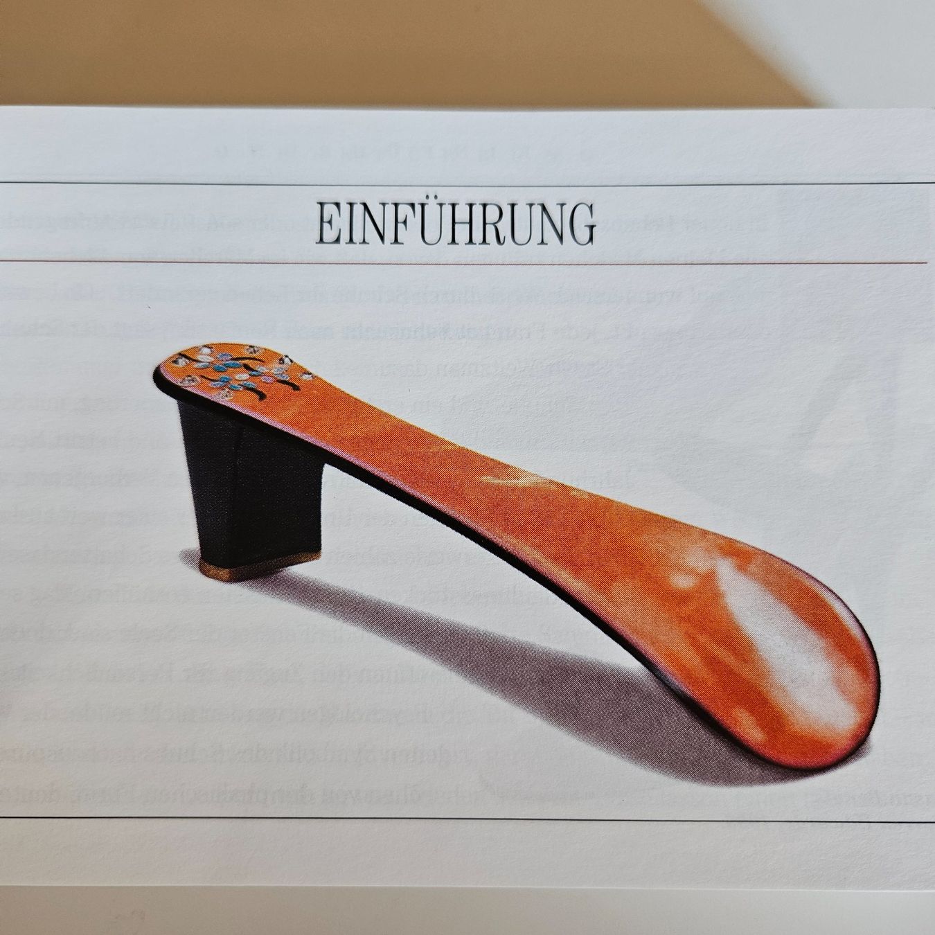 Bücher: SCHUH , Eine Hommage an den Frauenschuh – Gebraucht aus Uster von Sonnenblume212 3