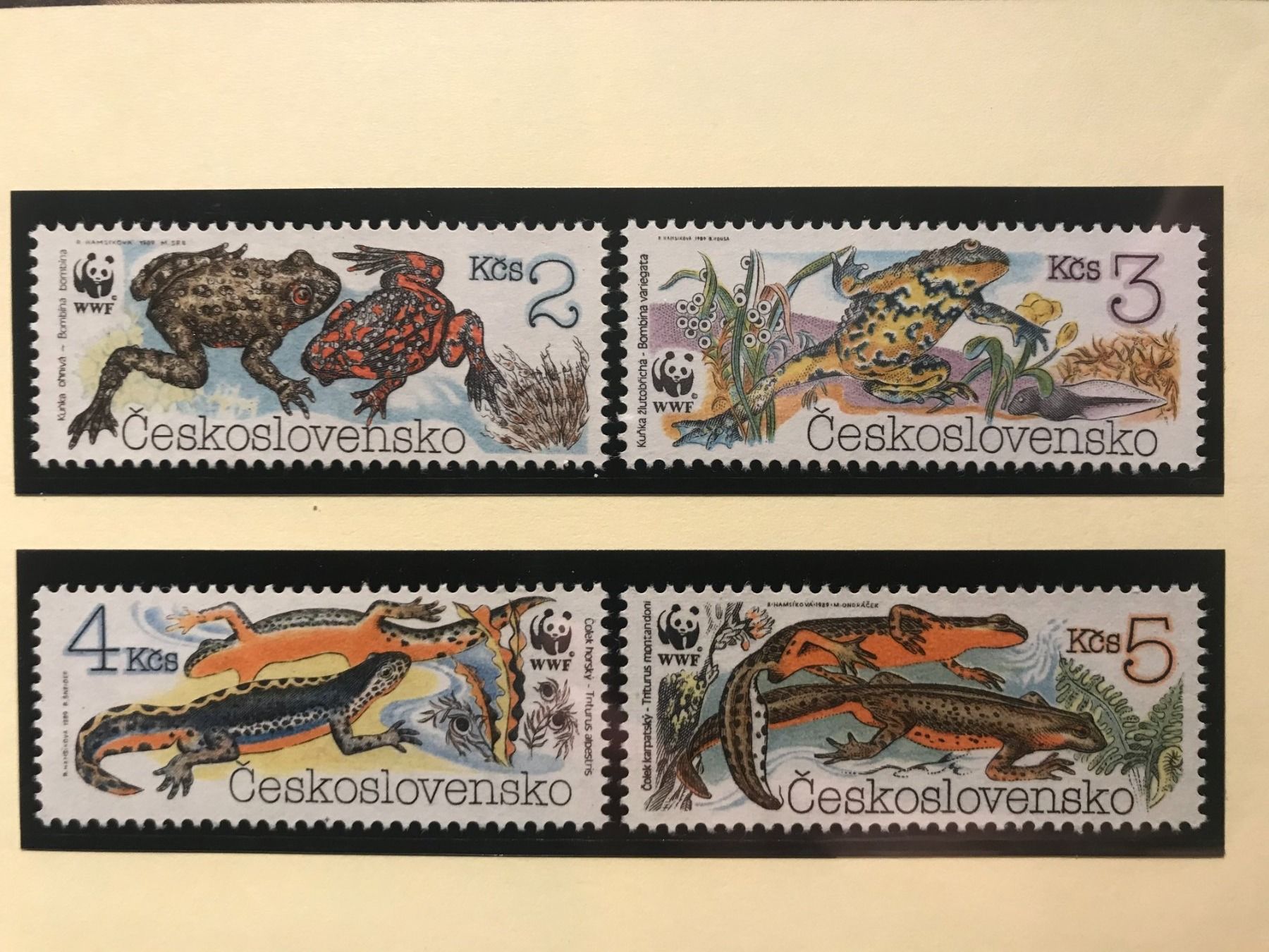 Tutti i francobolli: Tschechoslowakei 1989 Satz Amphibien WWF postfrisch – Nuovo (secondo la descrizione) da Winterthur venduto da schnueps