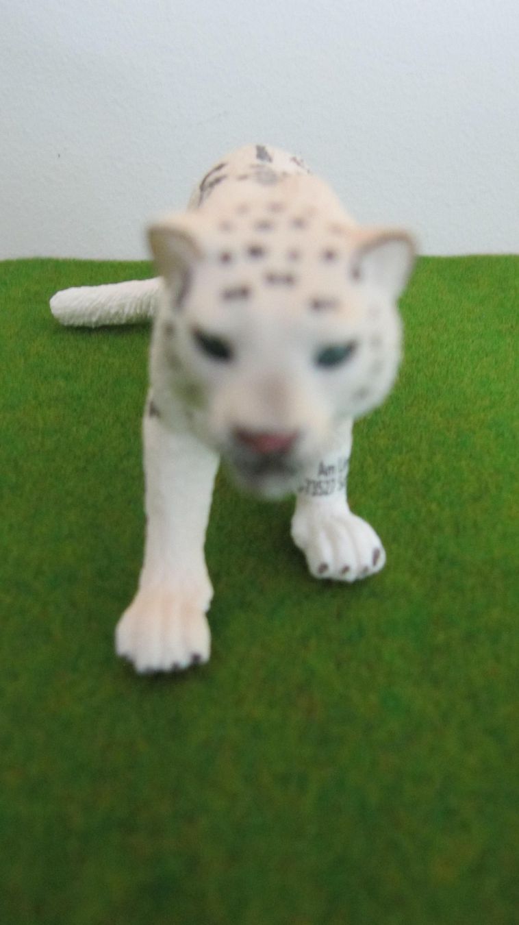 Schleich Giocattoli: Schleich Schneeleopard und Polarwolf mit Jungtier – Nuovo (secondo la descrizione) da Brunnen venduto da Kiwiland1 2
