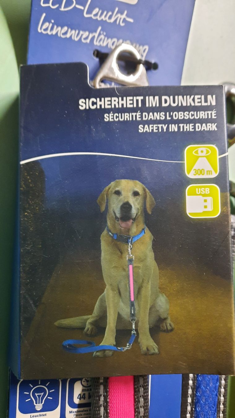 Leine & Halsband: Hundeleuchtband Sicherheit pink – Neu und originalverpackt aus zufikon von braemestaender01