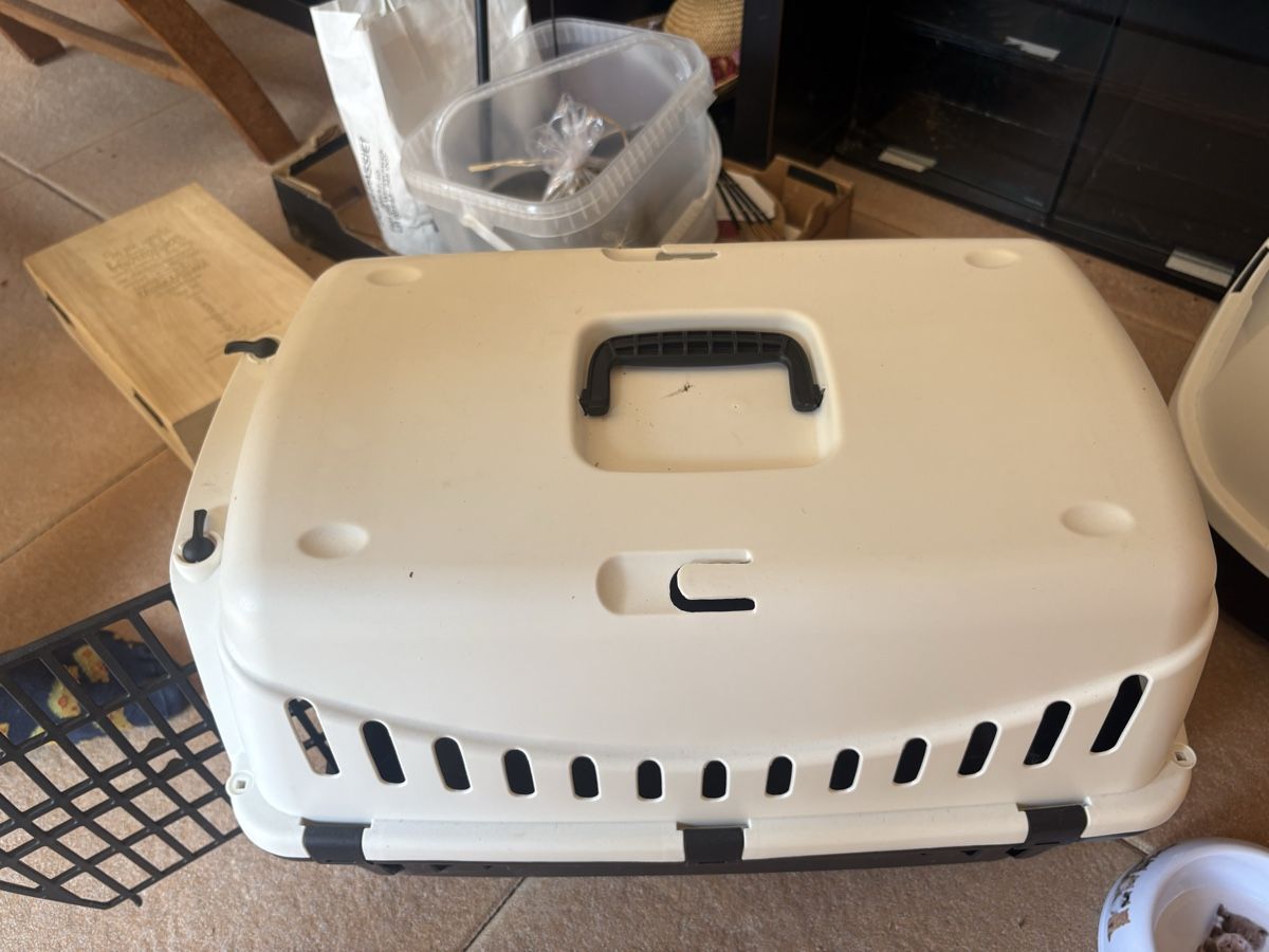 Niches, paniers: Katzentransportbox  – Neuf (Voir description) à aarwangen par mikemog 2