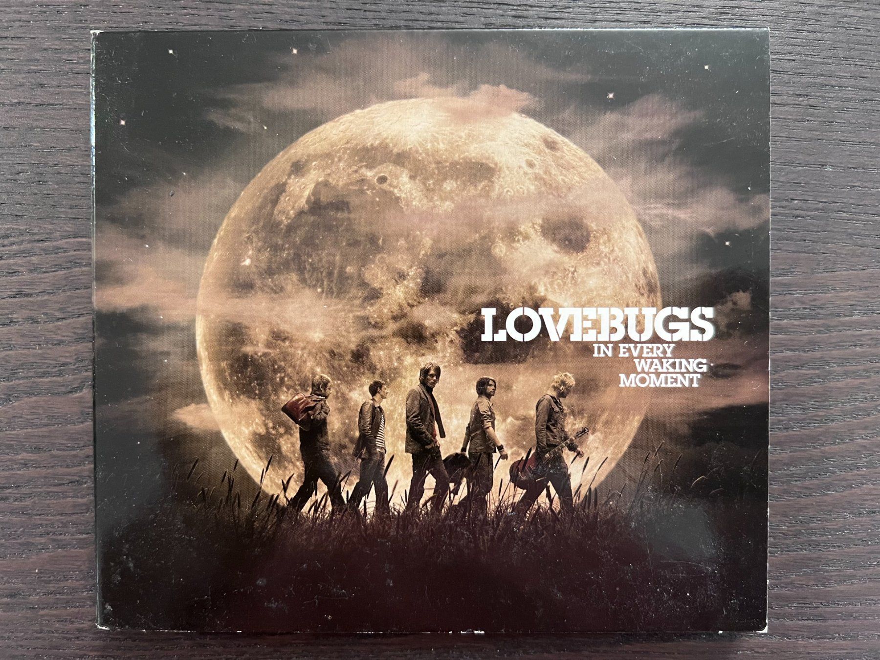 CDs: Lovebugs - In Every Waking Moment – Gebraucht aus Zürich von MusikFreunde