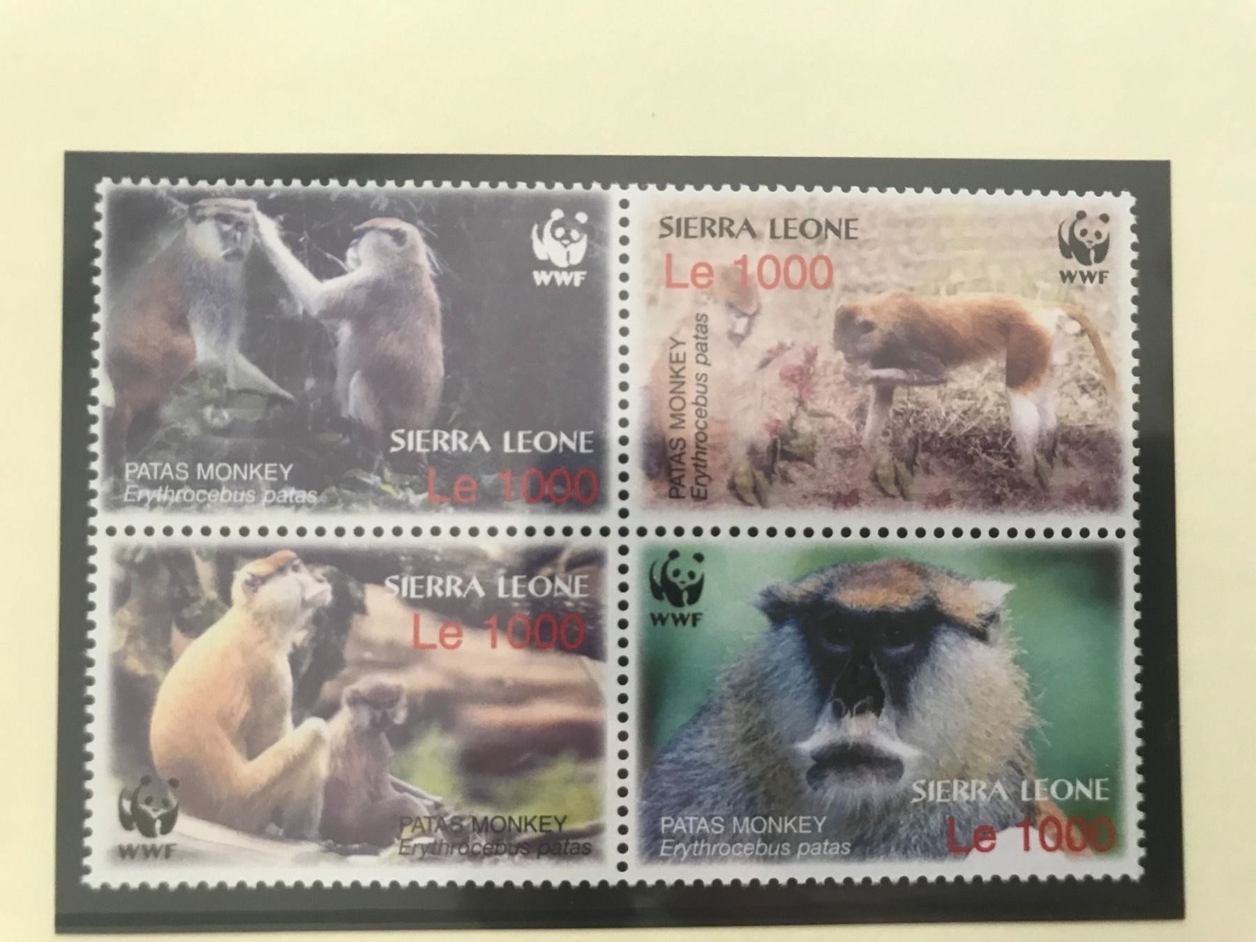Alle Briefmarken: Sierra Leone 2004 Satz WWF Husarenaffe postfrisch 4er-Block – Neu (gemäss Beschreibung) aus Winterthur von schnueps