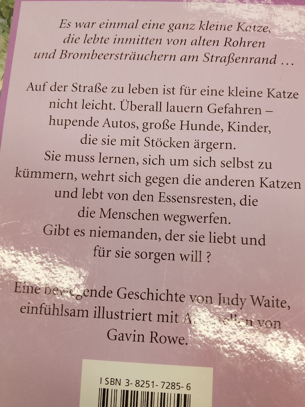 Bücher: Das streunende Kätzchen – Gebraucht aus Volken von katz5 8