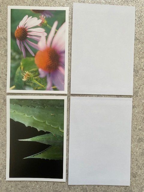 Cartes: 2 Karten inkl. Couverts – Neuf avec emballage d'origine à Elgg par Charts