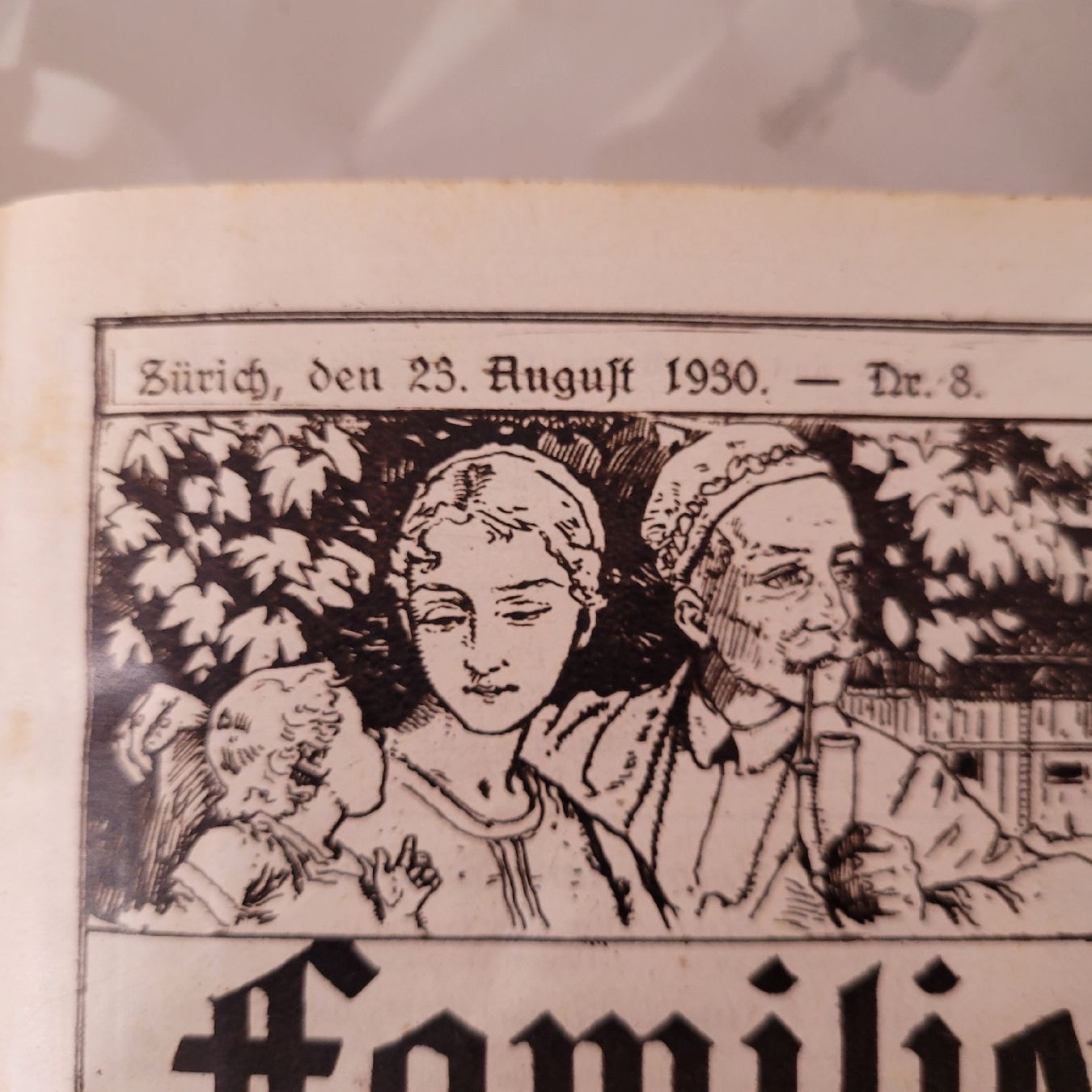 Libri: buch zürcher wochenblatt 1930 – Usato da Reichenburg venduto da AK307 1
