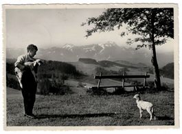 Senn mit Lämmern, Blick zum Säntis, gelaufen 1958