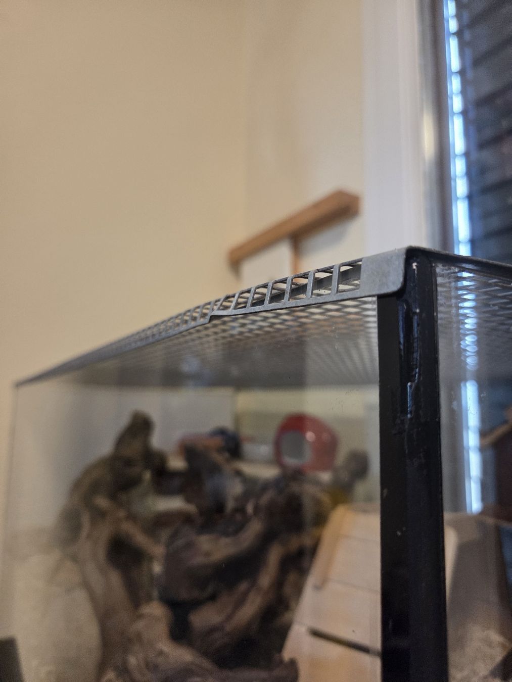 Terrario: Kleintierkäfig / Terrarium – Usato da Uetendorf venduto da mml_9xjd 2