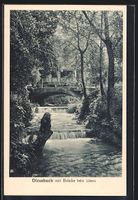 AK Diessbach, Brücke beim Löwen