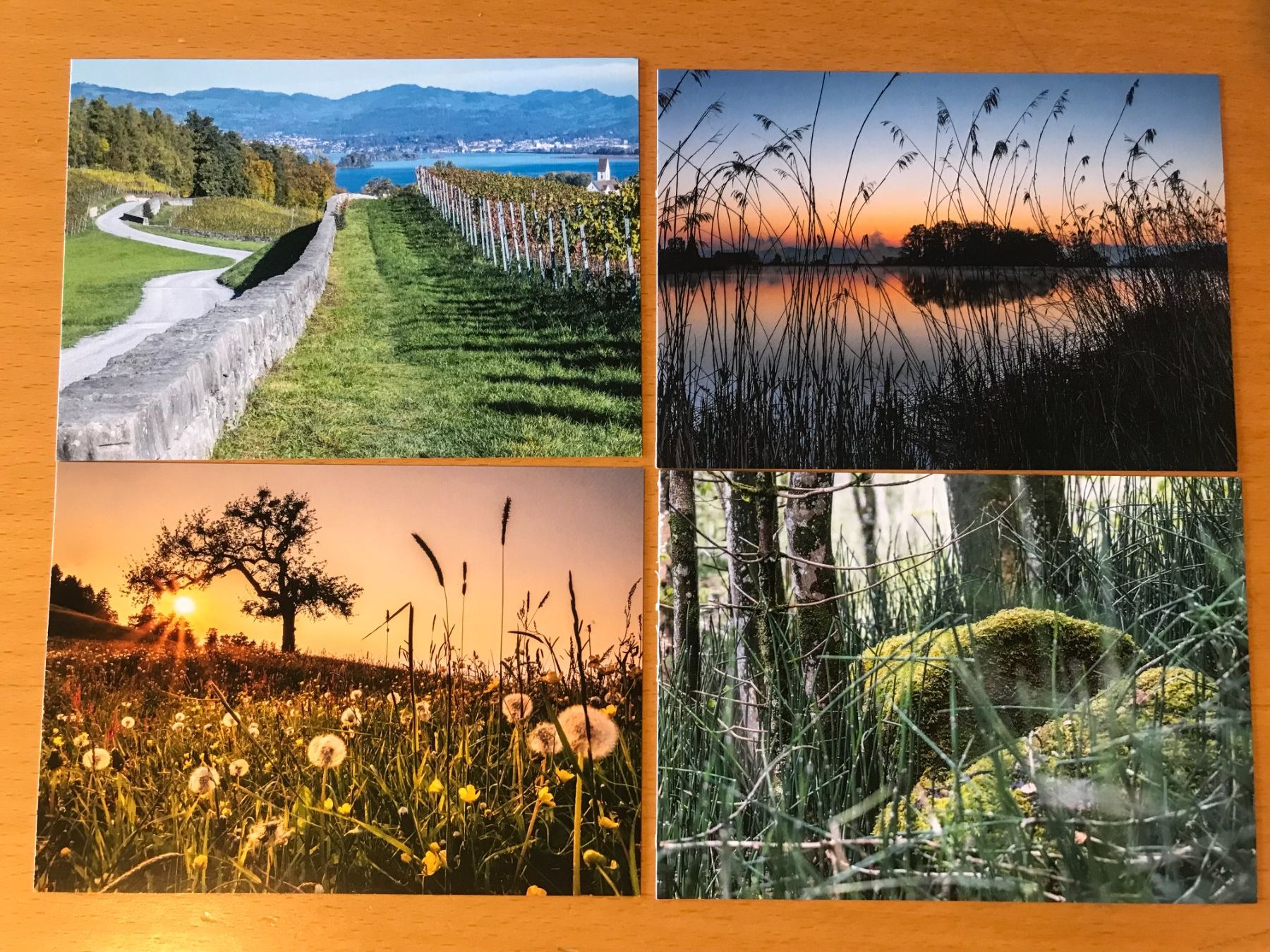 Cartoline postali: 4x Postkarten Landschaften im Bezirk Höfe – Usato da Luzern venduto da mey_s13
