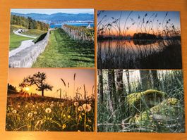 4x Postkarten Landschaften im Bezirk Höfe