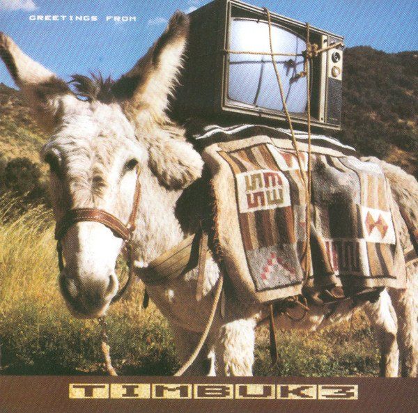 CD: CD Timbuk 3 - Greetings from (1986) – Usato da Möriken AG venduto da mineralia