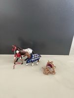 Schleichpferde 