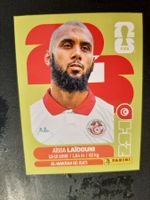 Panini 2026 TUN10