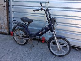 Töffli Mofa Moped TOMOS Quadro