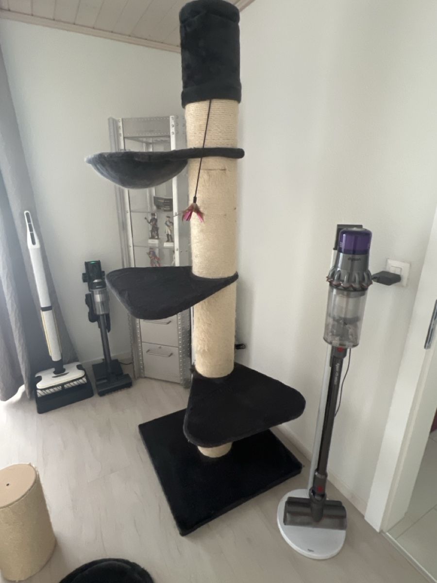 Tiragraffi: Katzenbaum  – Usato da Rothenburg venduto da Toulouse1 4