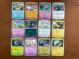 Pokemon 12er Karten Set (Versand gratis)