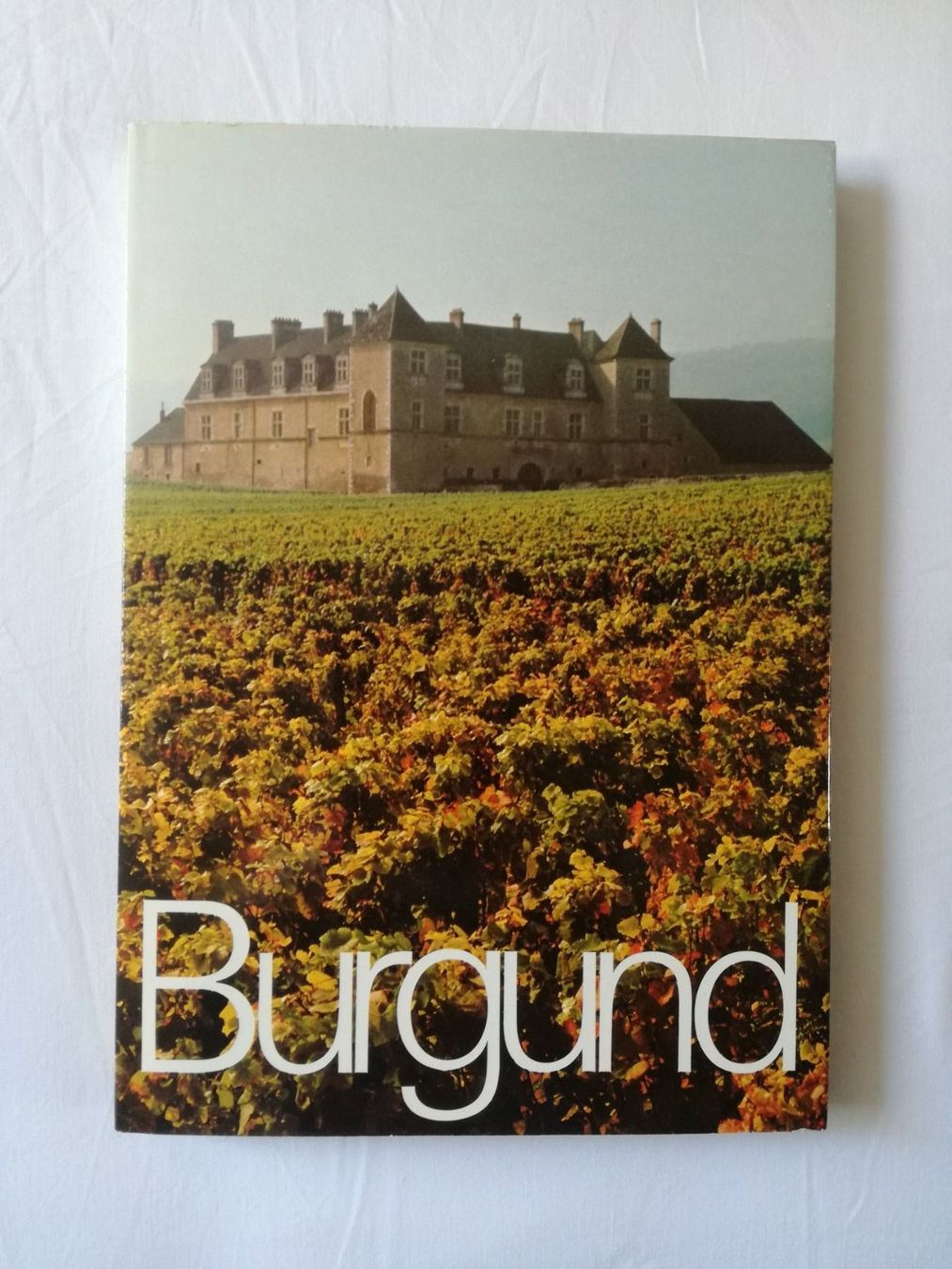 Libri: Silva Buch; Burgund – Usato da Zürich venduto da Tolima194