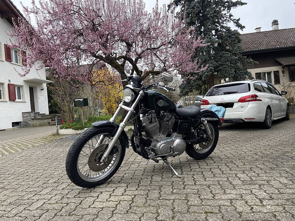 Chopper: Harley Davidson Sportster 883 – Usato da Heimberg venduto da lupo86 2