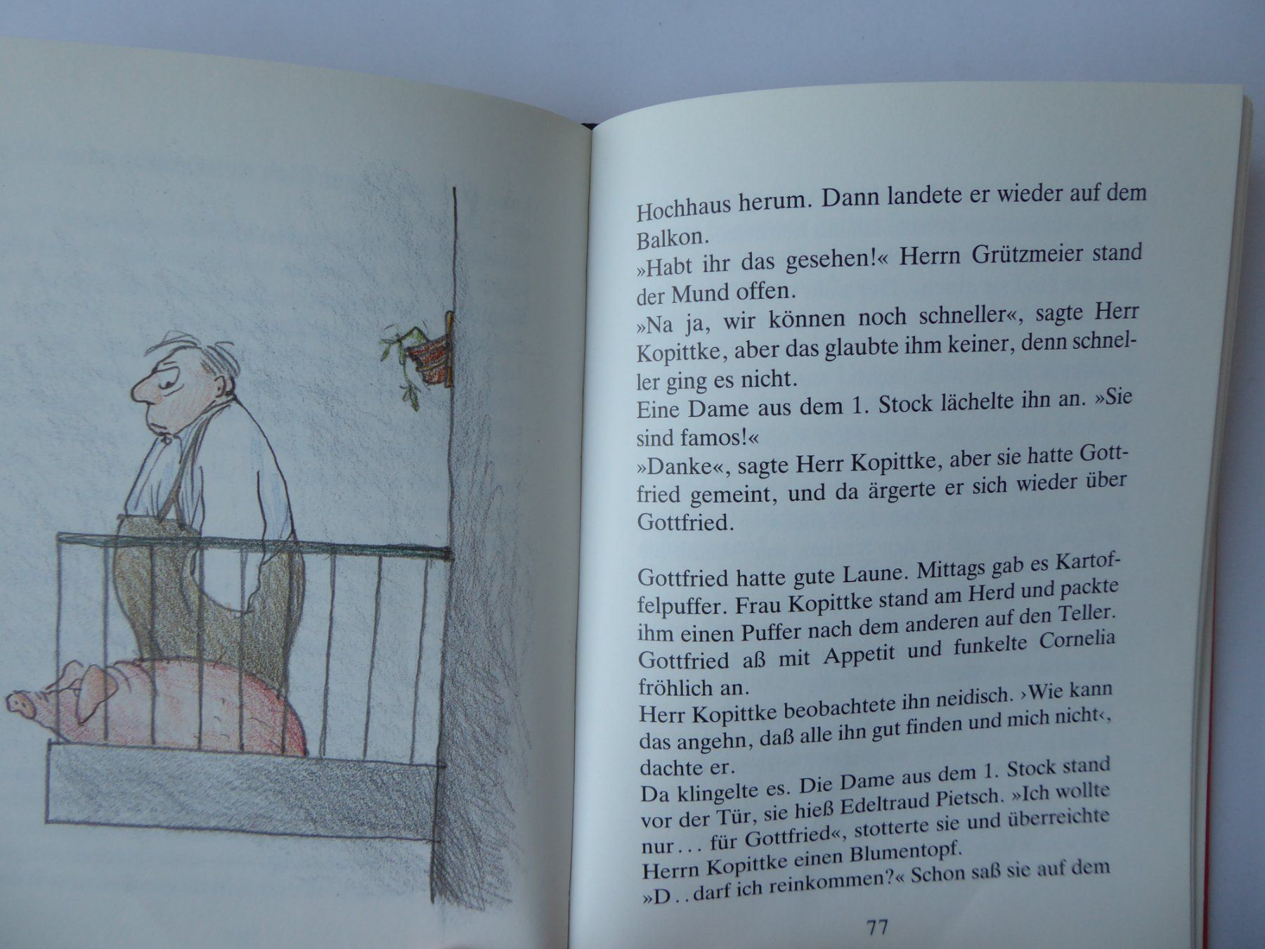 Bücher: Kinderbuch Gottfried das fliegende Schwein, W. Behncke – Gebraucht aus Turbenthal von Panau 4