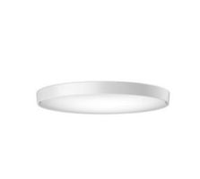 Ribag Wand-Deckenleuchte Arva Aluminium weiss